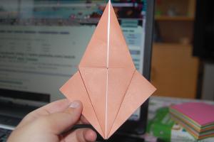 <img300*200:stuff/Bird_base_step_thirteen%3a.jpg>