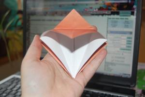 <img300*200:stuff/Bird_base_step_twelve%3a.jpg>