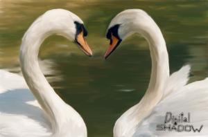 <img300*0:stuff/Birds_Of_a_Feather.jpg>