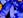<img:stuff/BlDaisyDiv4Bullet_SM.jpg>