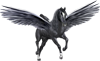 <img:http://elftown.heddate.com/stuff/BlackPegasus-100rev-ByArtsie_ladie.png>
