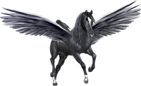 <img:http://elftown.heddate.com/stuff/BlackPegasus200-revByArtsie_ladie.png>