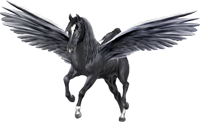<img:http://elftown.heddate.com/stuff/BlackPegasus200ByArtsie_ladie.png>