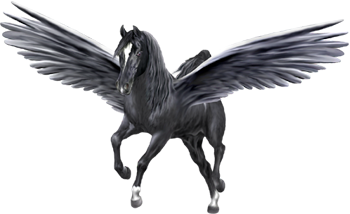 <img:http://elftown.heddate.com/stuff/BlackPegasus350ByArtsie_ladie.png>