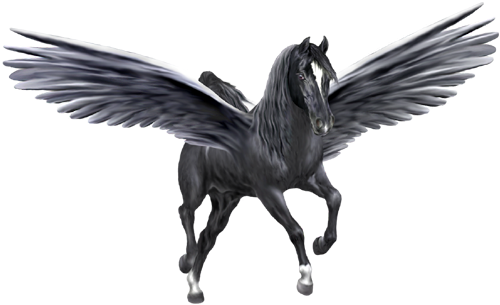 <img:http://elftown.heddate.com/stuff/BlackPegasus500-revByArtsie_ladie.png>