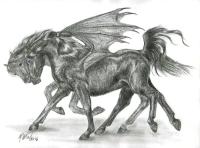 <img200*0:stuff/Black_pegasi.jpg>