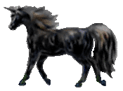 <img:stuff/BlackunicornOKrev.gif>