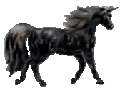 <img:stuff/BlackunicornOKtiny.gif>