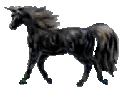 <img:stuff/BlackunicornOKtinyrev.gif>
