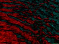 <img200*0:stuff/Blood%20in%20the%20Water.JPG>