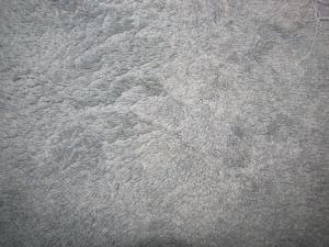 <img300*0:stuff/Blue_Carpet.jpg>