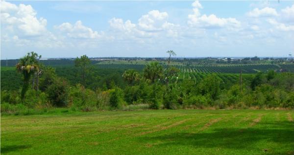 <img600*0:stuff/Bok_View_Over_the_Groves.jpg>