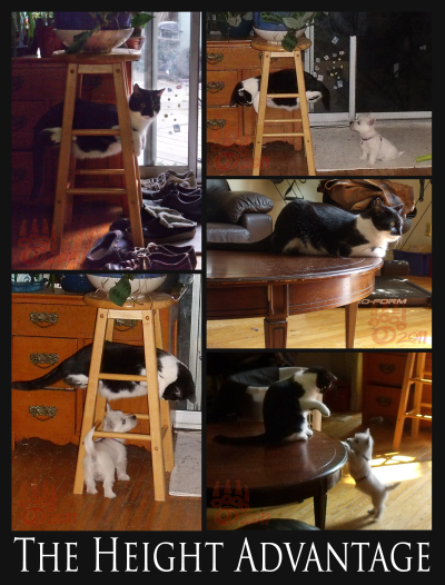 <img400*0:stuff/Bond%20and%20Meadhbh%20height%20advantage.png>