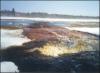 <img100*0:http://elftown.heddate.com/stuff/Breaking%20ice%202.jpg>