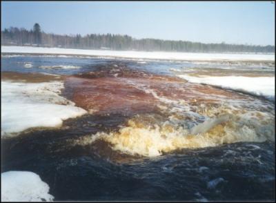 <img400*0:http://elftown.heddate.com/stuff/Breaking%20ice%202.jpg>