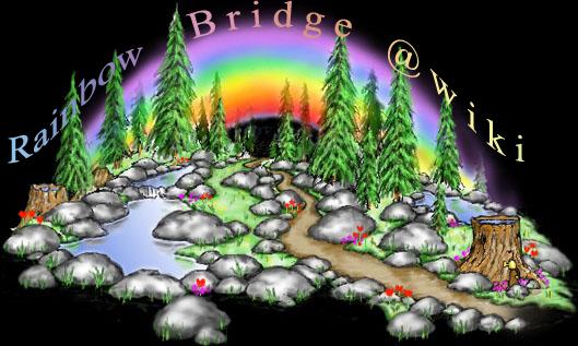 <img:stuff/Bridge_Badge_Night.jpg>