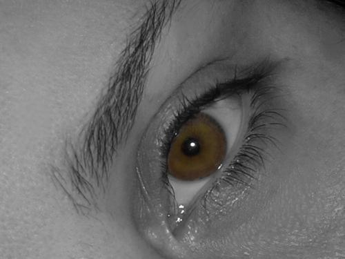 <img0*375:stuff/Brown_Eyed_M.jpg>