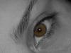 Brown_Eyed_M