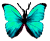 <img:stuff/BttrflyAqua.png>