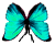 <img:stuff/BttrflyAquaDwn.png>