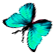 <img:stuff/BttrflyAquaLftDwn.png>
