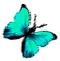 <img:stuff/BttrflyAquaRt.png>