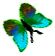 <img:stuff/BttrflyAquaVarRtDwn.png>