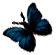 <img:stuff/BttrflyBlkBlueLft.png>
