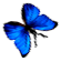 <img:stuff/BttrflyBlueRtDwn.png>