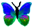 <img:stuff/BttrflyBlueVar.png>