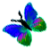 <img:stuff/BttrflyBlueVarLft.png>