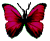<img:stuff/BttrflyDrkRed.png>