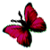 <img:stuff/BttrflyDrkRedLft.png>