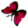 <img:stuff/BttrflyDrkRedLftDwn.png>