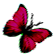 <img:stuff/BttrflyDrkRedRt.png>