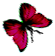 <img:stuff/BttrflyDrkRedRtDwn.png>