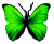 <img:stuff/BttrflyGrn.png>