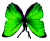 <img:stuff/BttrflyGrnDwn.png>