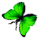 <img:stuff/BttrflyGrnLftDwn.png>
