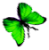 <img:stuff/BttrflyGrnRtDwn.png>