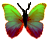 <img:stuff/BttrflyGrnVar2.png>