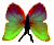 <img:stuff/BttrflyGrnVar2Dwn.png>