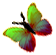 <img:stuff/BttrflyGrnVar2Lft.png>