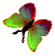 <img:stuff/BttrflyGrnVar2LftDwn.png>