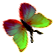 <img:stuff/BttrflyGrnVar2RtDwn.png>