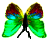 <img:stuff/BttrflyGrnVarDwn.png>