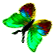 <img:stuff/BttrflyGrnVarLftDwn.png>