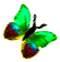 <img:stuff/BttrflyGrnVarRt.png>