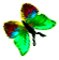 <img:stuff/BttrflyGrnVarRtDwn.png>