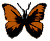 <img:stuff/BttrflyOrgBlk.png>